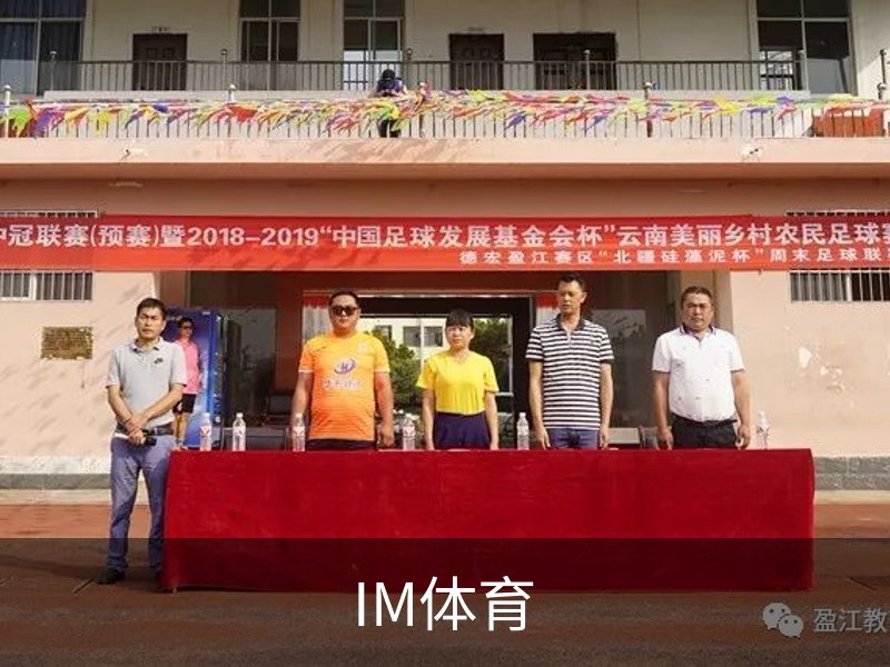 了解IM体育